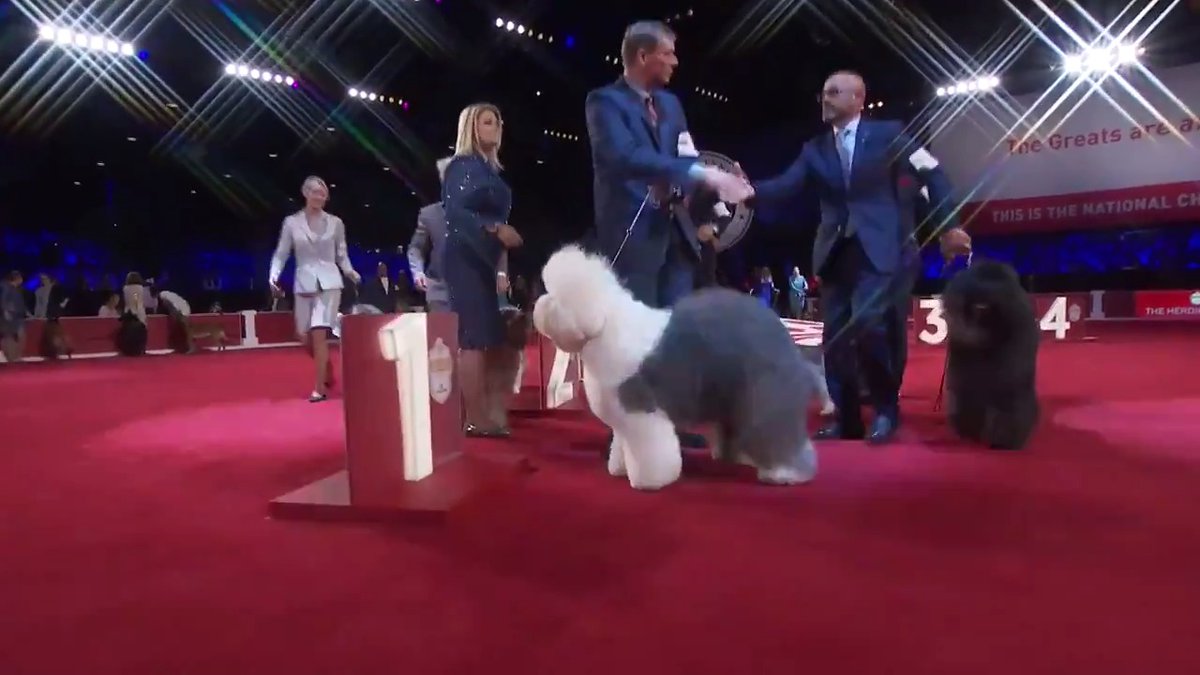 royal canin old english sheepdog