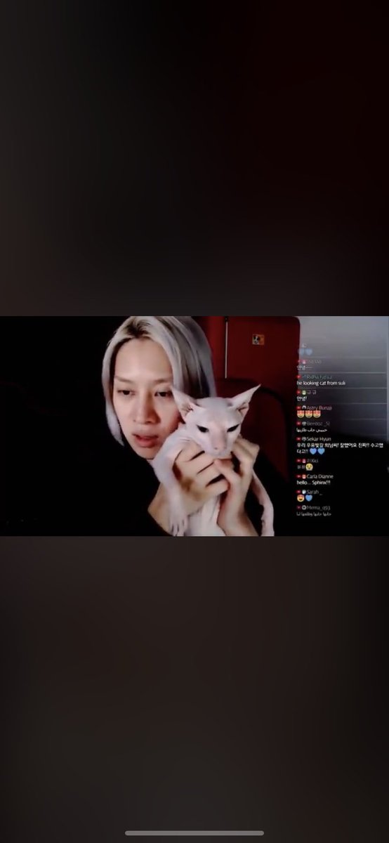 hibiimuimu's tweet photo. 去年、自殺で亡くなったソルリの愛猫ブリンちゃんを引き取って飼っているヒチョル優しさを知ってほしい。

#拡散希望 https://t.co/IIAOCwUkSC