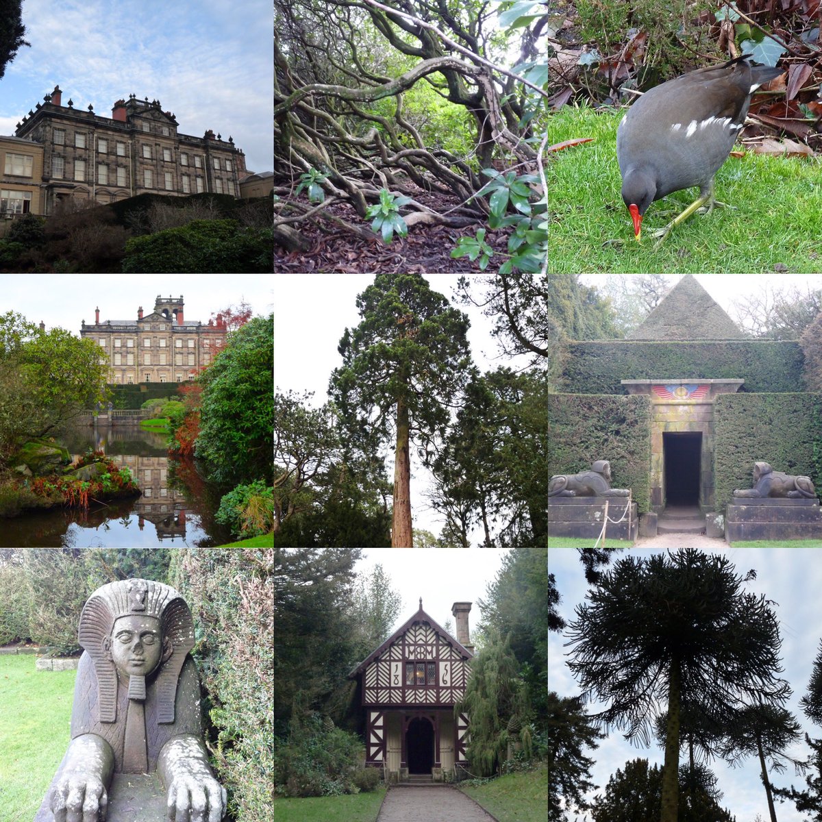 FireStallion666's tweet photo. Around #biddulphgrangegardens #gardens #jamesbateman @BiddulphGrange #firestallionphotography https://t.co/HVZmN5BwU4
