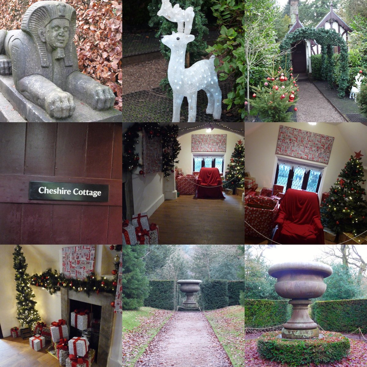 FireStallion666's tweet photo. Around #biddulphgrangegardens #gardens #jamesbateman @BiddulphGrange #firestallionphotography https://t.co/HVZmN5BwU4