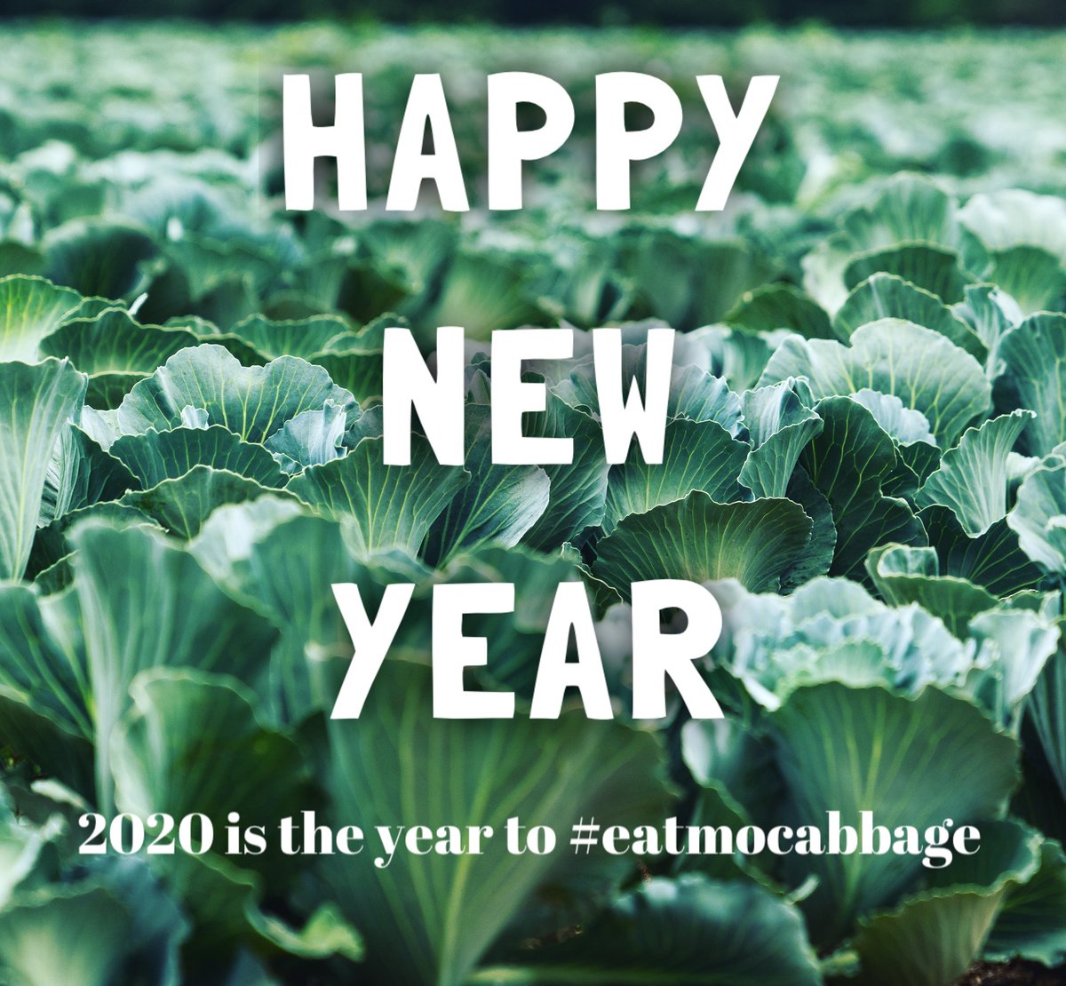 Happy New Year from the Hollar &amp; Greene family! Praying that everyone has a blessed and prosperous 2020! Send us pictures of your cabbage tonight! #eatmocabbage
