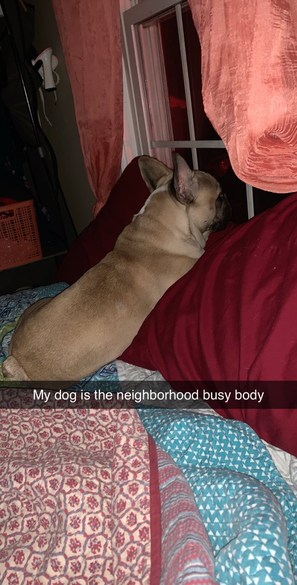 BatboyWalk's tweet image. 