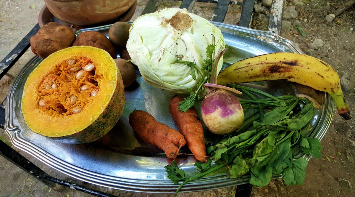 olivia_laporte's tweet photo. La Soupe de giraumon est une coutume en Haïti. Elle nous rappelle notre indépendance et notre attachement à la tradition haïtienne. Cette bonne soupe est consommée tous les dimanches dans certains foyers et chaque nouvel an par la majorité des haïtiens https://t.co/eFjmAb8umj