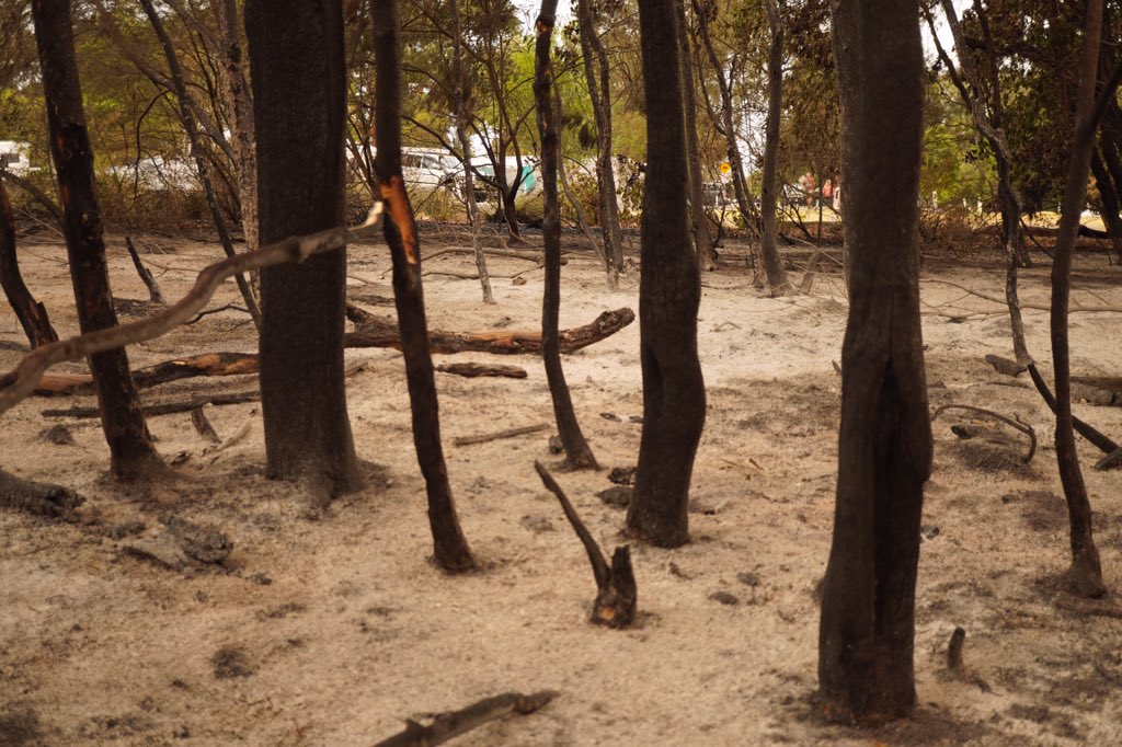 Lachieg1011's tweet photo. #mallacoota #bushfiresNSW #bushfires #AustraliaBurning #ausfires https://t.co/l1weeo1Rv4