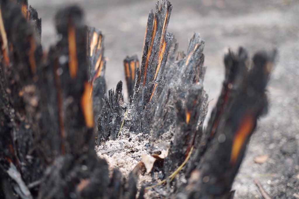 Lachieg1011's tweet photo. #mallacoota #bushfiresNSW #bushfires #AustraliaBurning #ausfires https://t.co/Y1oVQwfFmC