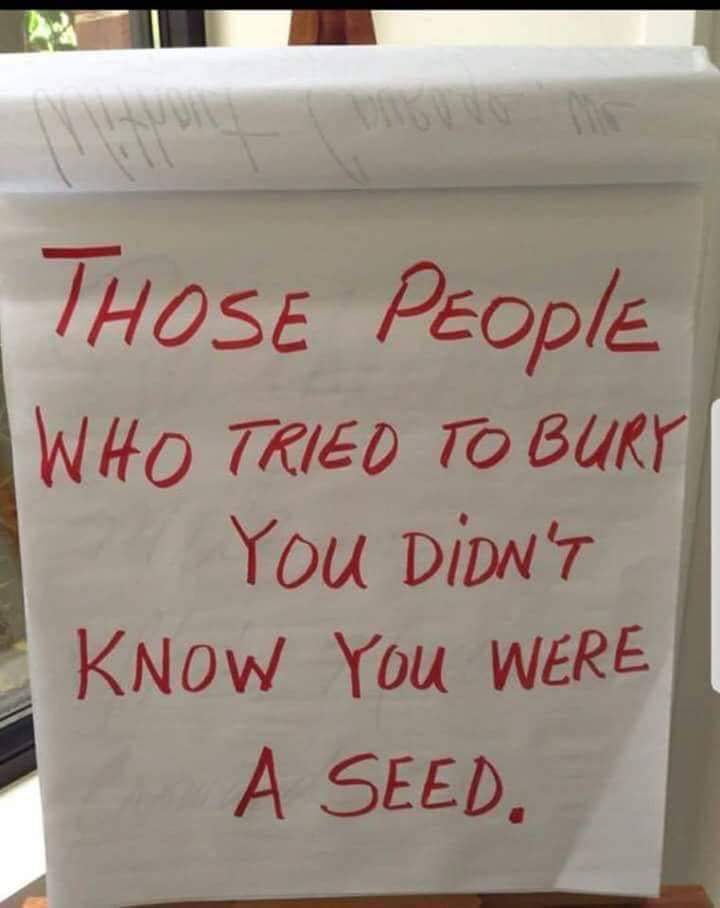 BeautyIsYou_Co's tweet photo. ❣ I love this quote to start a New Year with! 💯 

You're a Fuckin Seed Queen!! 👑 There is nothing but growth and beauty in front of you!!  
#2020NewYear #takenobull #thebestisyettocome #youreafuckingseed #retweet #growthmindset #BeASeed https://t.co/zrJPvtF9VH