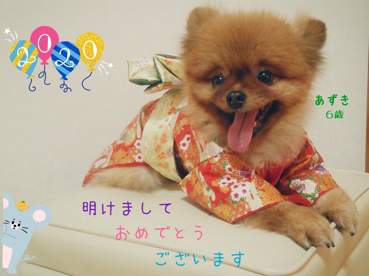 haruemily's tweet photo. #明けましておめでとうございます
 🎍
#元日 は実家で母トシコと弟ナオソニーとあずきと四人で宴会しました。
(あずき父は海外赴任からあと数日で一時帰国します)
#2020オリンピックイヤー 🏅#令和２年 も #どうぞよろしくお願い致します 🎍♥️ https://t.co/JrjXooaiaW