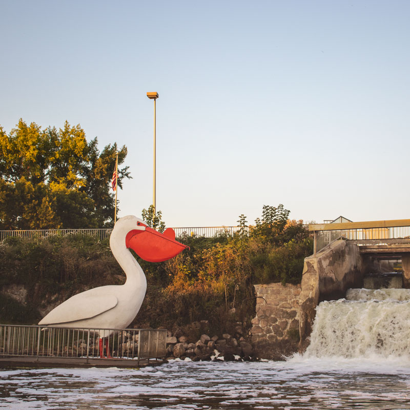 The world’s largest pelican is no doubt the most photographed object in #PelicanRapidsMN and continues to be a draw at the base of the Mill Pond Dam along the Pelican River. Snap your pic with #PelicanPete!  bit.ly/2ZHHmkZ #LakesInnAtDunvilla #travel #explore