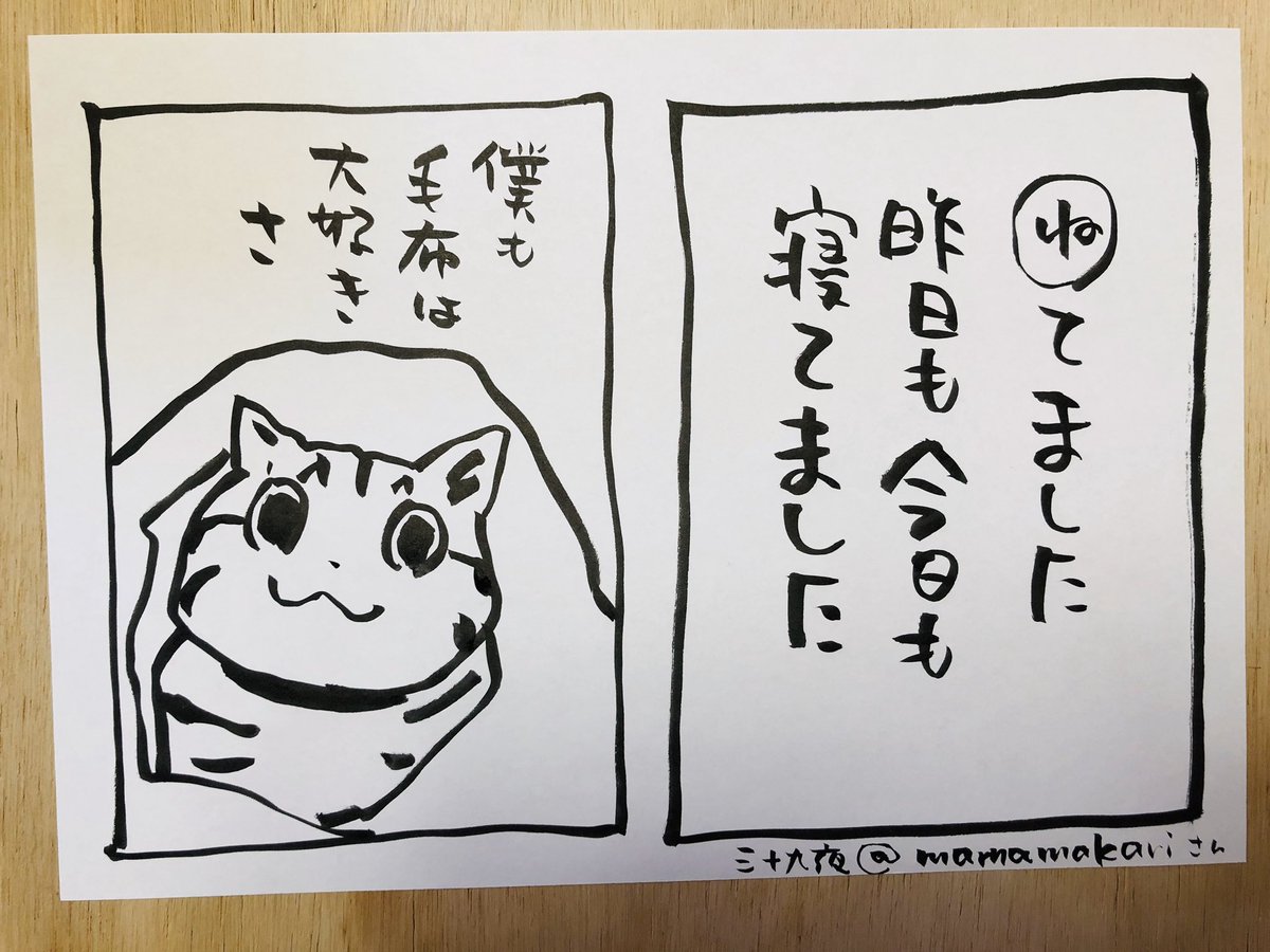 あるある〜

三十九夜@mamamamakariさんの作品に絵をつけました
ありがとうございます

#夜廻り猫カルタ 