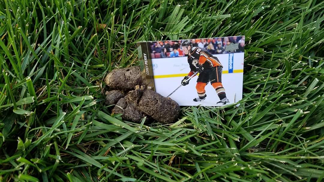 Scott Waller (@tnscottw) on Twitter photo 