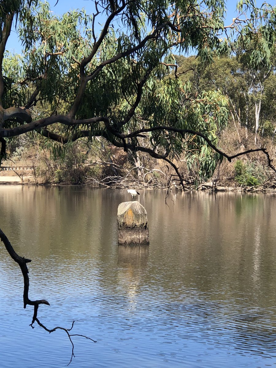 Lindajwil's tweet photo. #WynnValeDam in the #TeaTreeGully area of #Adelaide. https://t.co/Tg273Q9vMQ