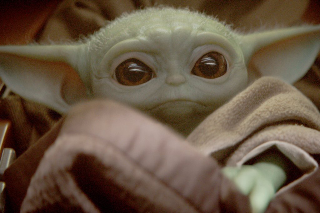 MamaaMads's tweet photo. I was told Josie looks like baby yoda and lmao https://t.co/E9g8DfzeGZ