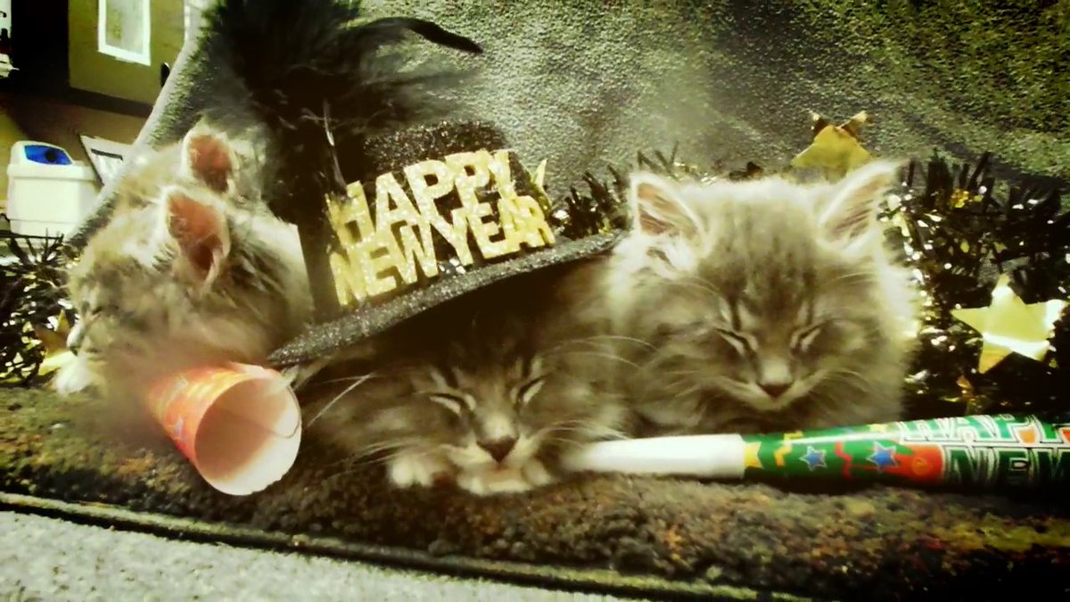 Rescue Express wishes you a wonderful New Year 2020. Thank you for all of your wonderful support and love. Let's hope and work toward more transports in the new year.

#newyear2020 #happynewyear #happynewyear2020