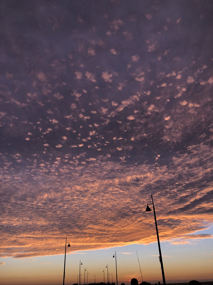 di_lely's tweet photo. #sunsettv 2020 https://t.co/rbgg5zJ8v1