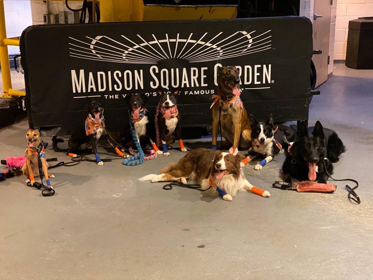 InstantReplayFb's tweet photo. Thanks @nyknicks, our crew are tired and happy https://t.co/MB9mC0iQa5