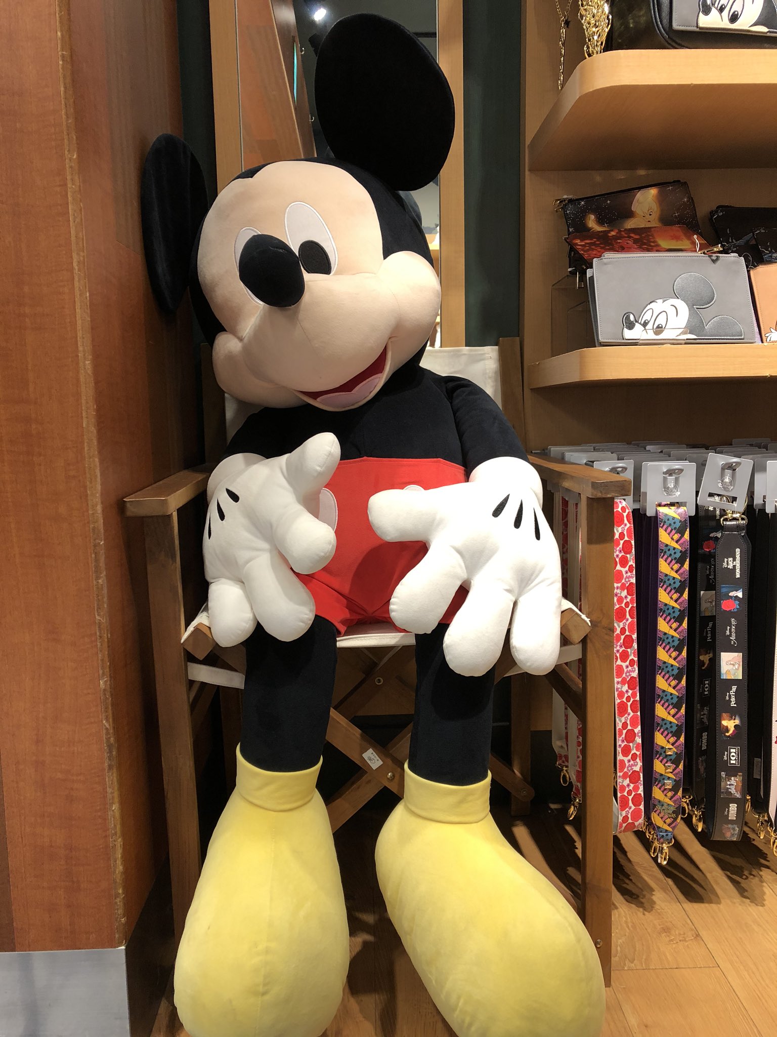 渉 W 横浜 そごう横浜店 Disney Disneystore ディズニー ディズニーストア 旅行の思い出 載せ忘れ 去年の写真 T Co Ip49rbdkyb Twitter