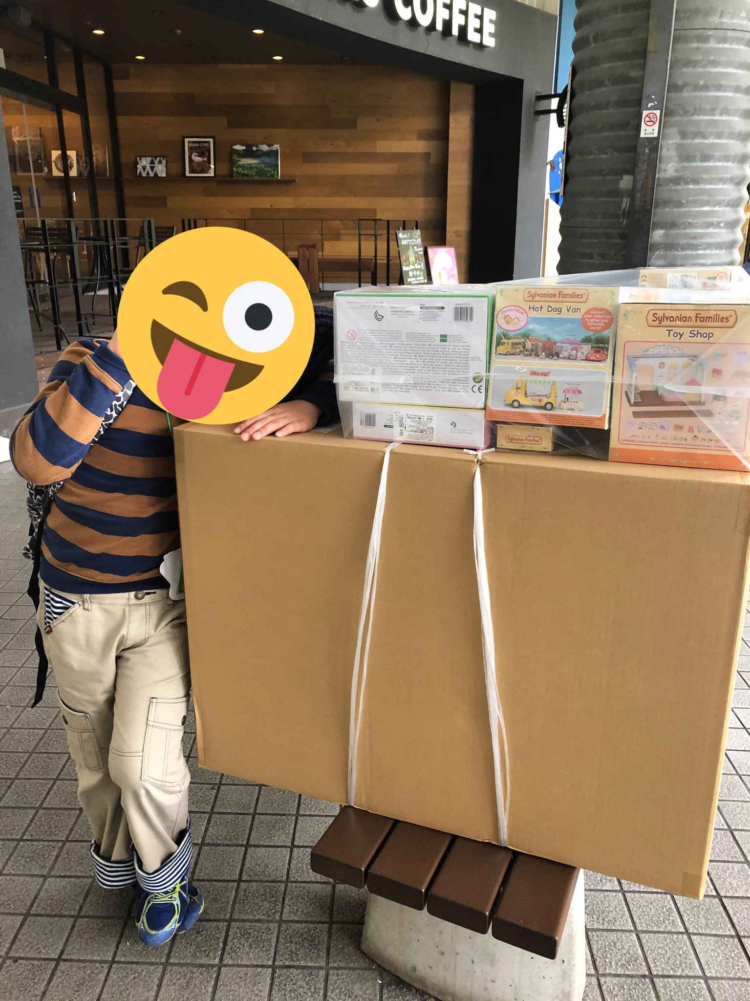 衝動買い注意！！勢いでシルバニアの福袋を買った人の災難www