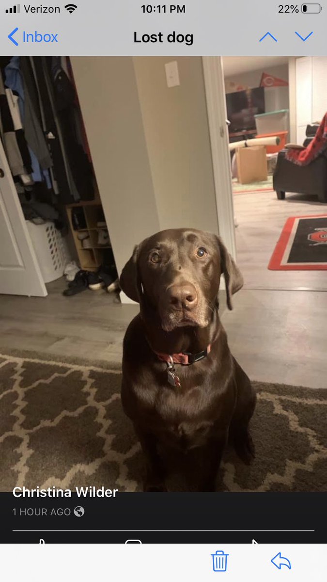 ShereeWLWT's tweet photo. Please RT: 
You know what an animal lover I am..
I just got an email from this woman who is desperate to find her fur baby who disappeared from Loveland. If you can help find “Coco Chanel” her owner (Christina Wilder) would be so grateful. 🙏🏻🙏🏻🙏🏻 https://t.co/DFgpa2Pr1c