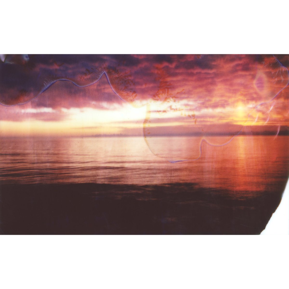 benprks's tweet image. #polaroid110 #fujifilm #instax