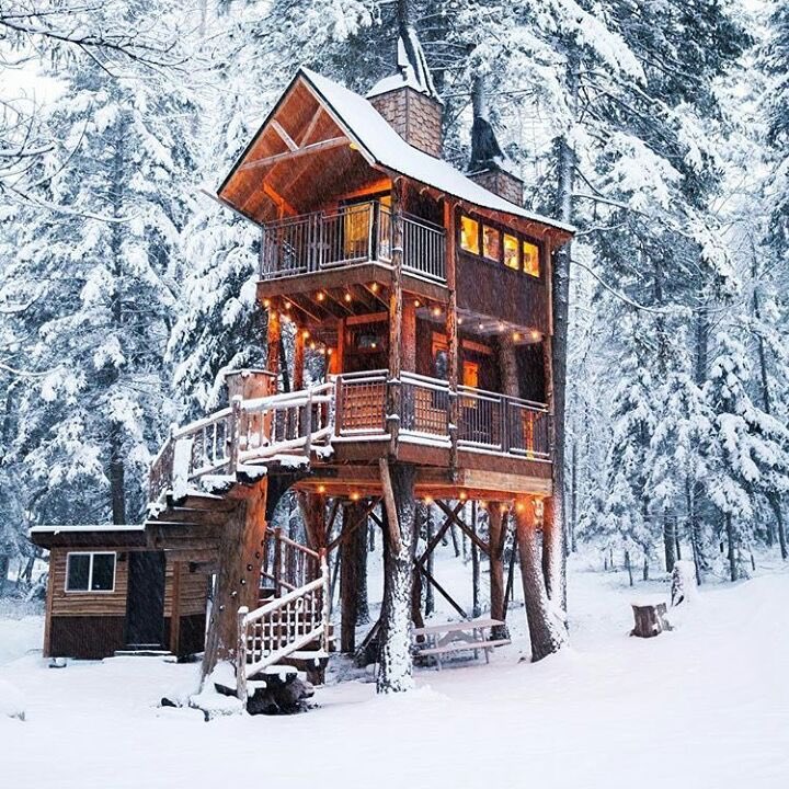 pixcassoart's tweet photo. Montana Treehouse Retreat https://t.co/fxSNhM34TQ