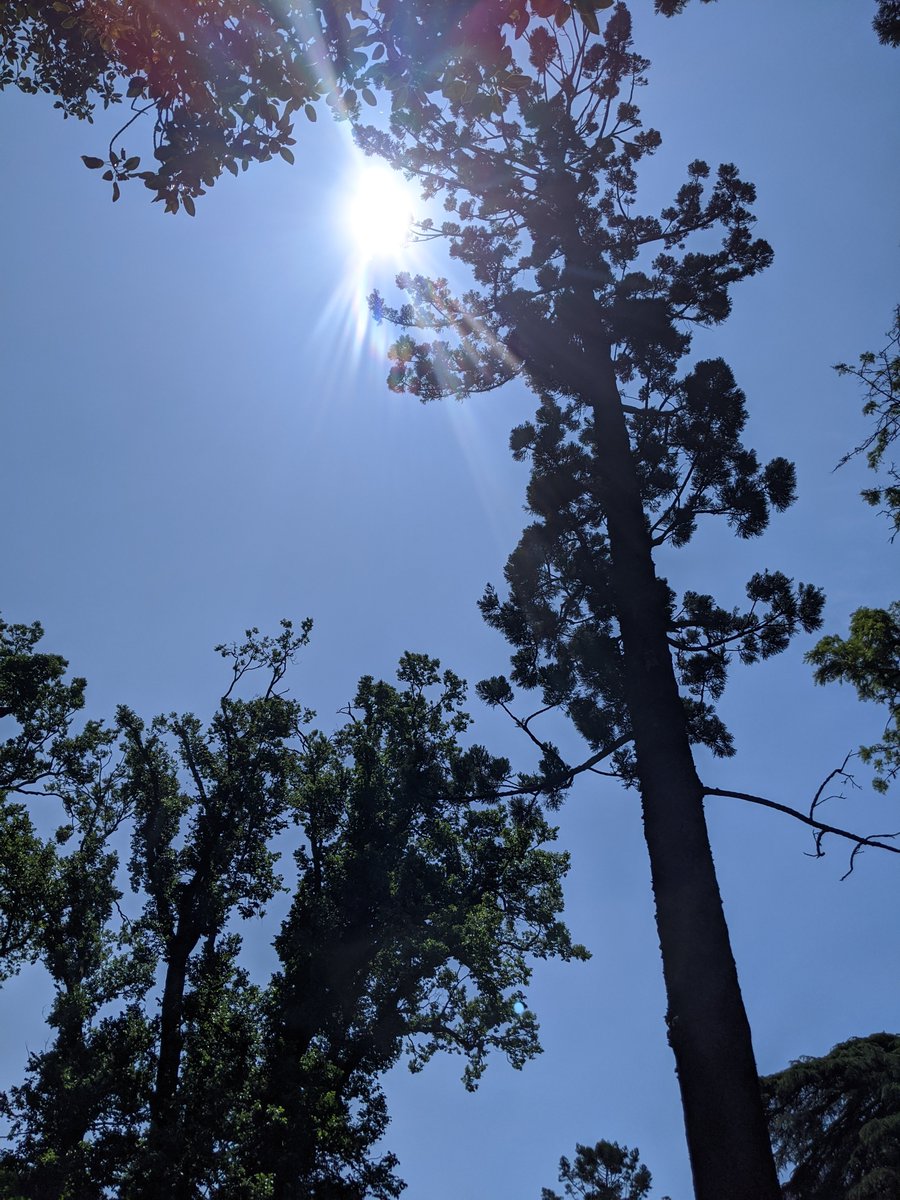 Melissa Vandewater tweet media