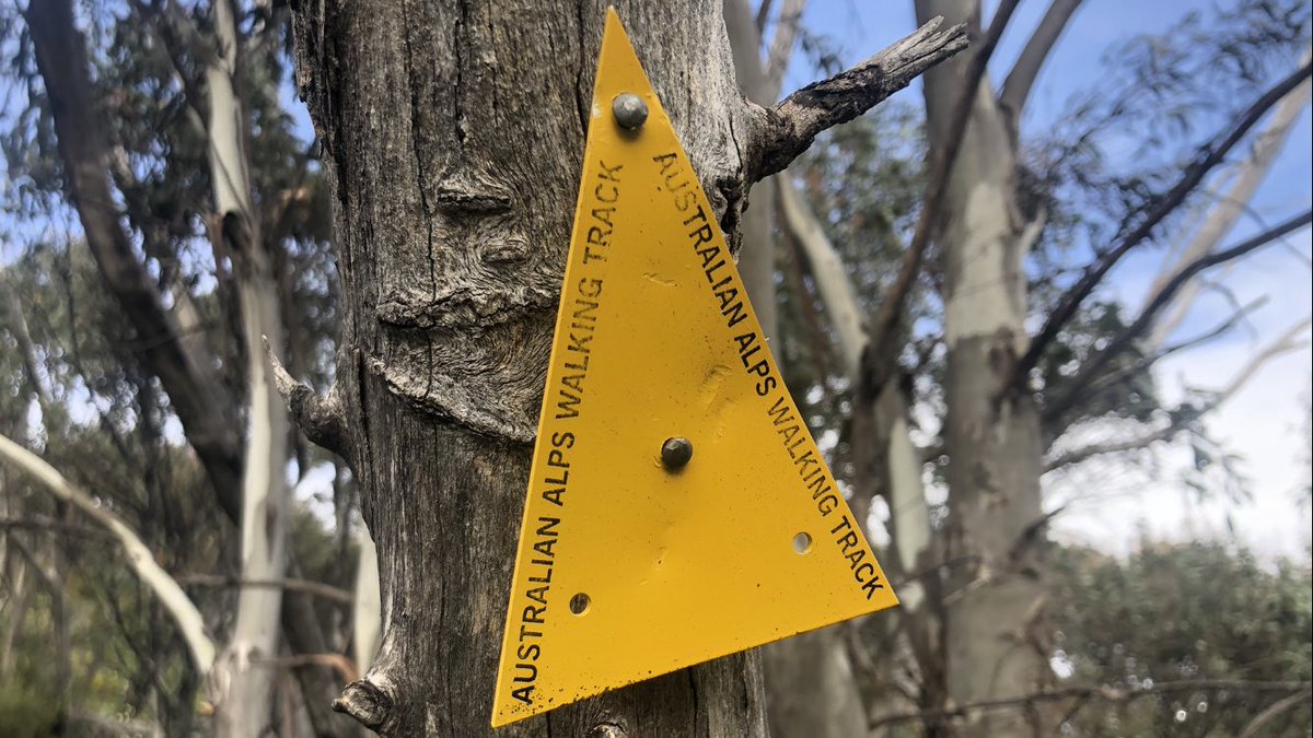 I’d like to close off this thread with some pics I didn’t share, and some thoughts on the  #AAWT, which could and IMO SHOULD be as popular as America’s Appalachian Trail, but which is remote, hard to follow, oft overgrown, and only sporadically has distinctive yellow trail markers