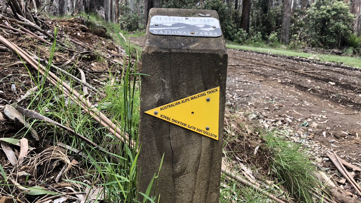 I’d like to close off this thread with some pics I didn’t share, and some thoughts on the  #AAWT, which could and IMO SHOULD be as popular as America’s Appalachian Trail, but which is remote, hard to follow, oft overgrown, and only sporadically has distinctive yellow trail markers