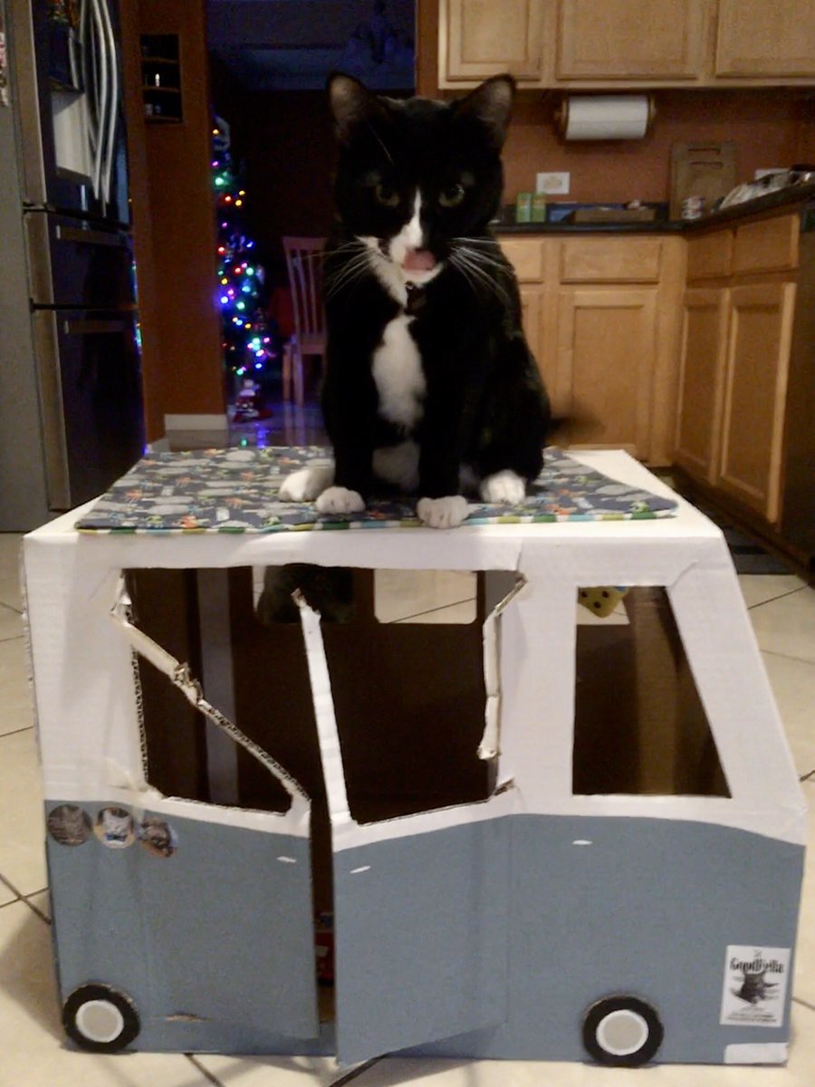 LuckyDaPuppyCat's tweet photo. Charley’s #vwbus body repair is underway (these are ‘before’ pics). Assistants Colby and Dobby are in position and ready to help. Hopefully it comes out drivable 😹 #charleycabservices #funwithboxes #catboxsunday @livingroomlions @StrayLiotta @Mr_Bailey_Cat @mhtsang718 @KhanCats https://t.co/qo7zDGI866