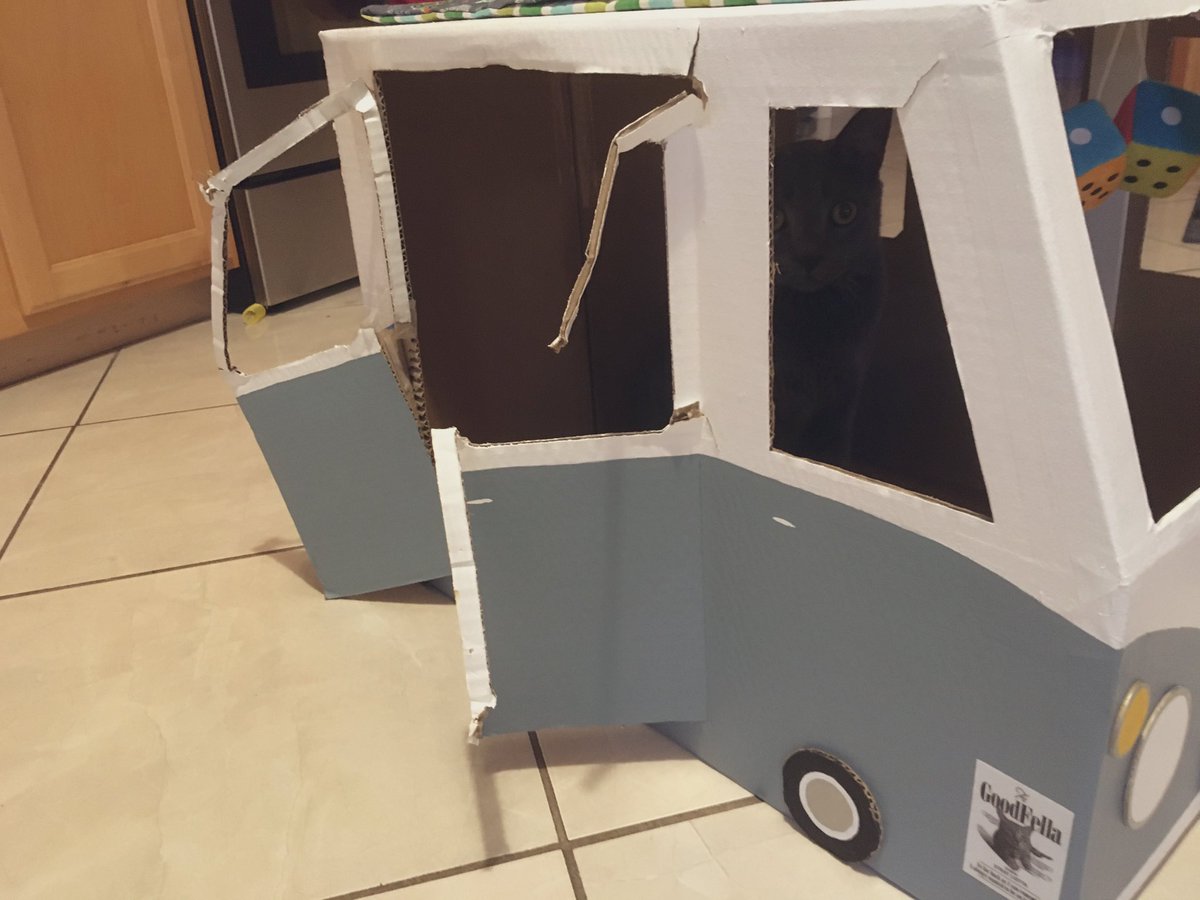LuckyDaPuppyCat's tweet photo. Charley’s #vwbus body repair is underway (these are ‘before’ pics). Assistants Colby and Dobby are in position and ready to help. Hopefully it comes out drivable 😹 #charleycabservices #funwithboxes #catboxsunday @livingroomlions @StrayLiotta @Mr_Bailey_Cat @mhtsang718 @KhanCats https://t.co/qo7zDGI866