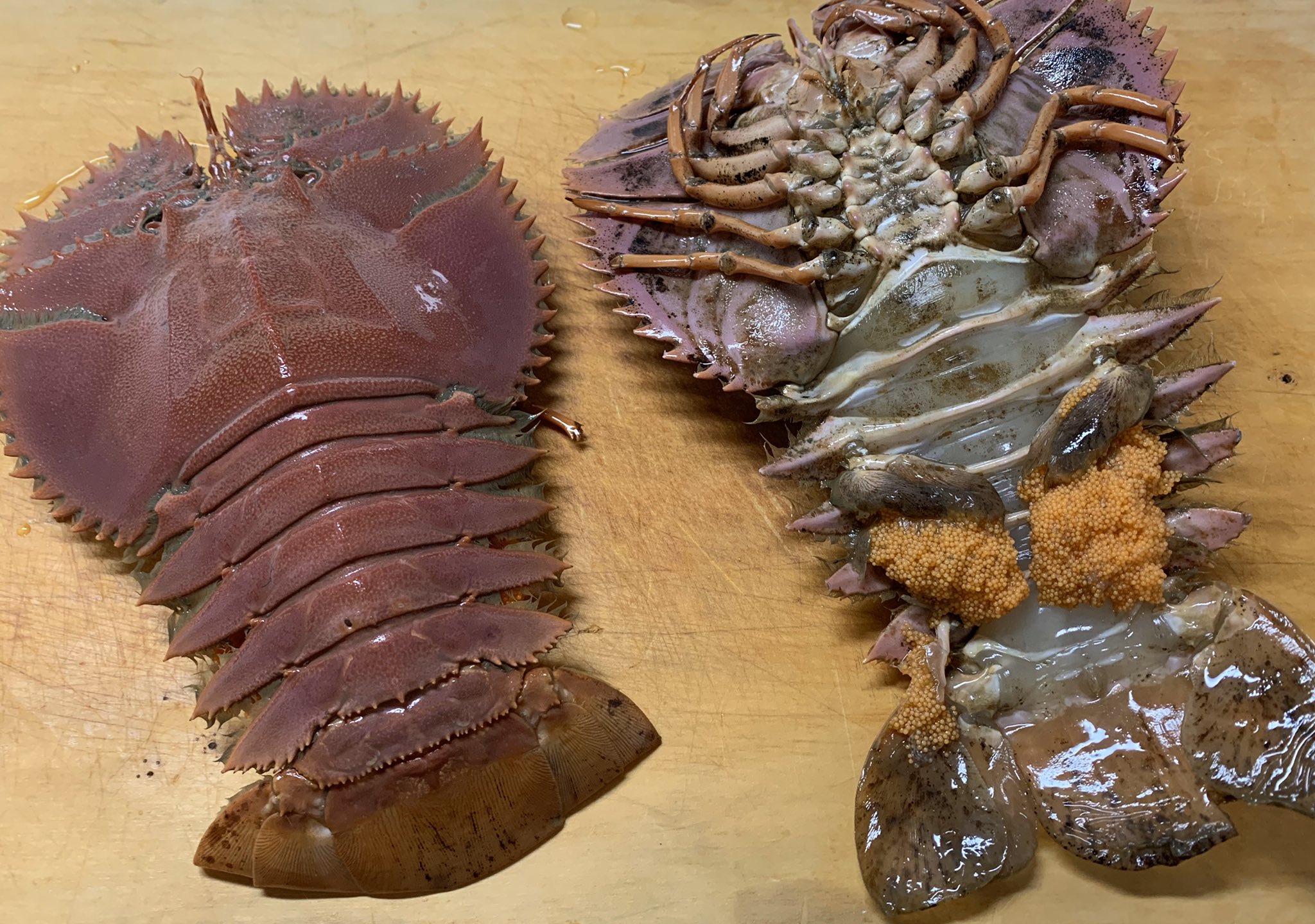 エビ カニ これを味噌汁に ご主人が置いていった謎すぎる食材 これは何 話題の画像プラス エビ カニ これを味噌汁に ご主人が置いていった謎すぎる食材 これは何 話題の画像プラス