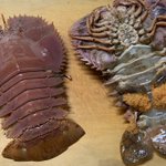 エビ？カニ？これを味噌汁に!？ご主人が置いていった謎すぎる食材、これは何？？