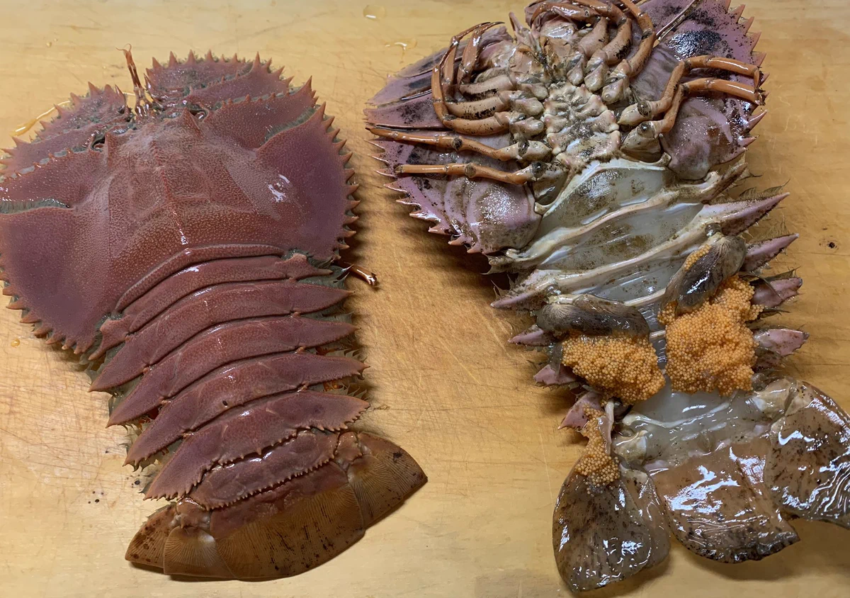 エビ？カニ？これを味噌汁に！？ご主人が置いていった謎すぎる食材、これは何？？
