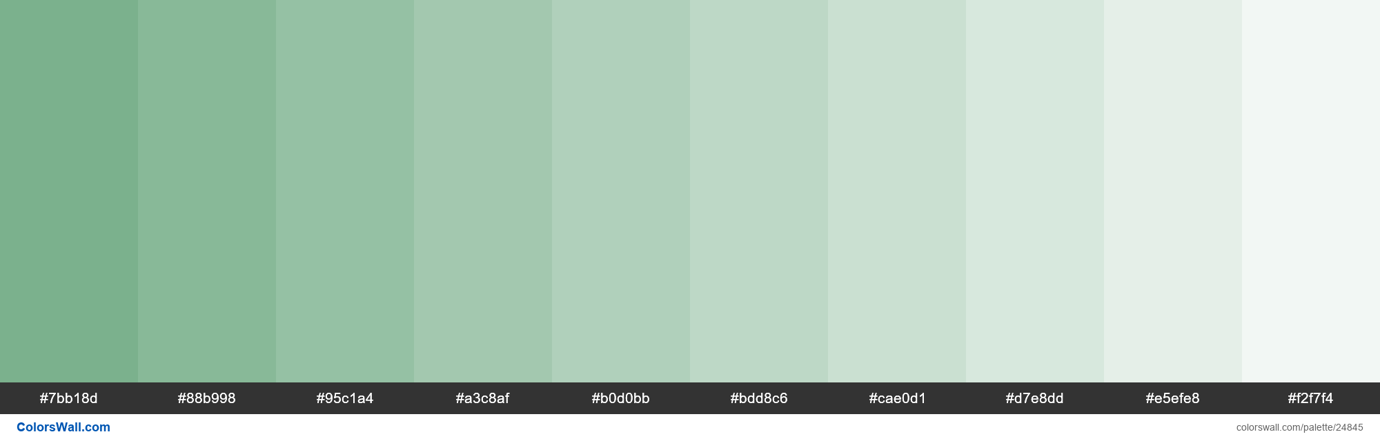 colorswall on Twitter "Tints of Bay Leaf color 7BB18D hex 7bb18d