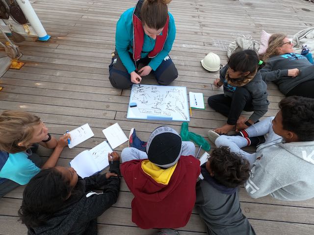 Another great day of bird-spotting, plastic-fishing and sunrise-chasing aboard Miraie @JAMSTEC_PR @umipura_girl @unepwcmc #marineplastic #microplastics #oceanliteracy #womeninscience