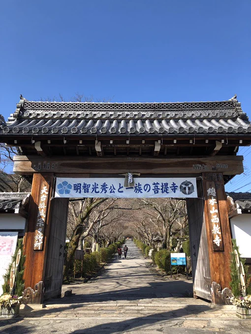 滋賀にいます。比叡山坂本の西教寺行ってきました。光秀の供養塔があるとこ!欄間に麒麟いたよー大河たのしみだね✨ 