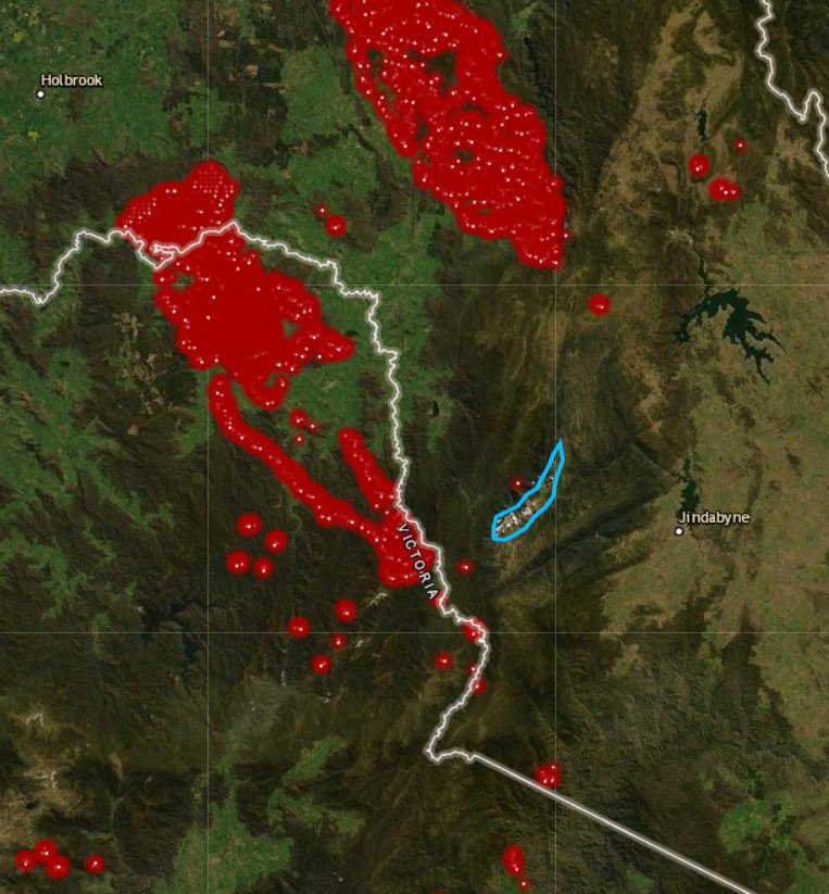#australianfires edging closer to #snowymountains in the #australianalps - my study area #kosciuszkoalpinearea (in blue). Spot fires cropping up W of #Mainrange will be faned by rotor and anabatic winds today and strong NW #winds forecast for Saturday.

#VIIRSactivefires