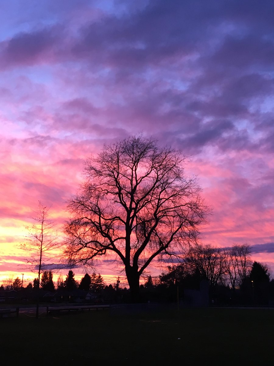 Happy New Year 2020. Glorious #ladner #sunset #deltabc