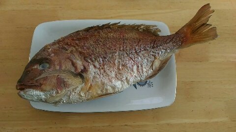 Twogoo 毎年正月のにらみ鯛は明石の魚の棚で買うけど 今年は加古川の公設市場で購入 2kg3800円が投げ売り状態で ジャンケンで買って1000円やった めっちゃお得 正月 にらみ鯛 お得