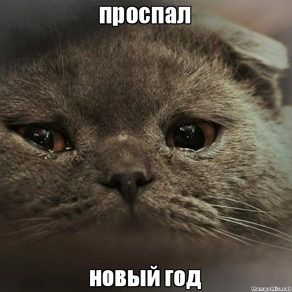 Всех, всех, ВСЕХ - с Новым 2020 ГОДОМ!!!
А ведь Новый Год нагло проспала...
)))