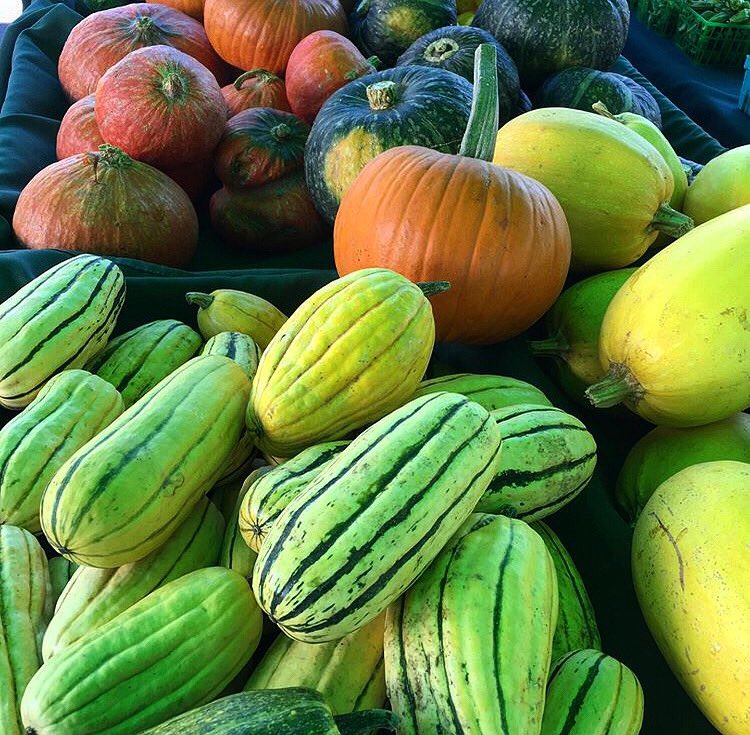 TakeInLocal's tweet photo. Wishing you all a prosperous new year full of great experiences + delicious food. Thank you to everyone who has been a part of this adventure to support local! Cheers 💚#TakeInLocal 📷 @jrorganicsfarm https://t.co/aIxXCTvcVp