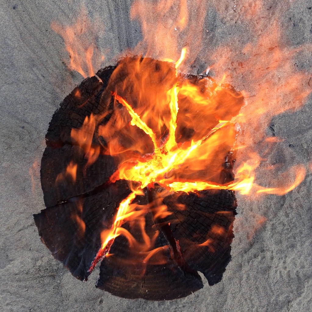 Sam Beebe tweet media