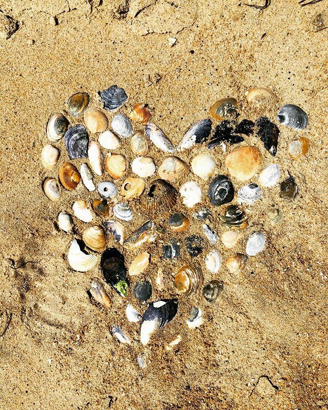 fabmelbourne's tweet photo. Happy New Year from where we love to be at this time of year 🌞🌞🌞#newyear #2020 #beachlife #beach #melbourne #melbourneblogger #lifestyle #lifestylblogger #melbournelife #summerholidays #relaxed https://t.co/AS0Gm8sBuy https://t.co/1K43uQInnU