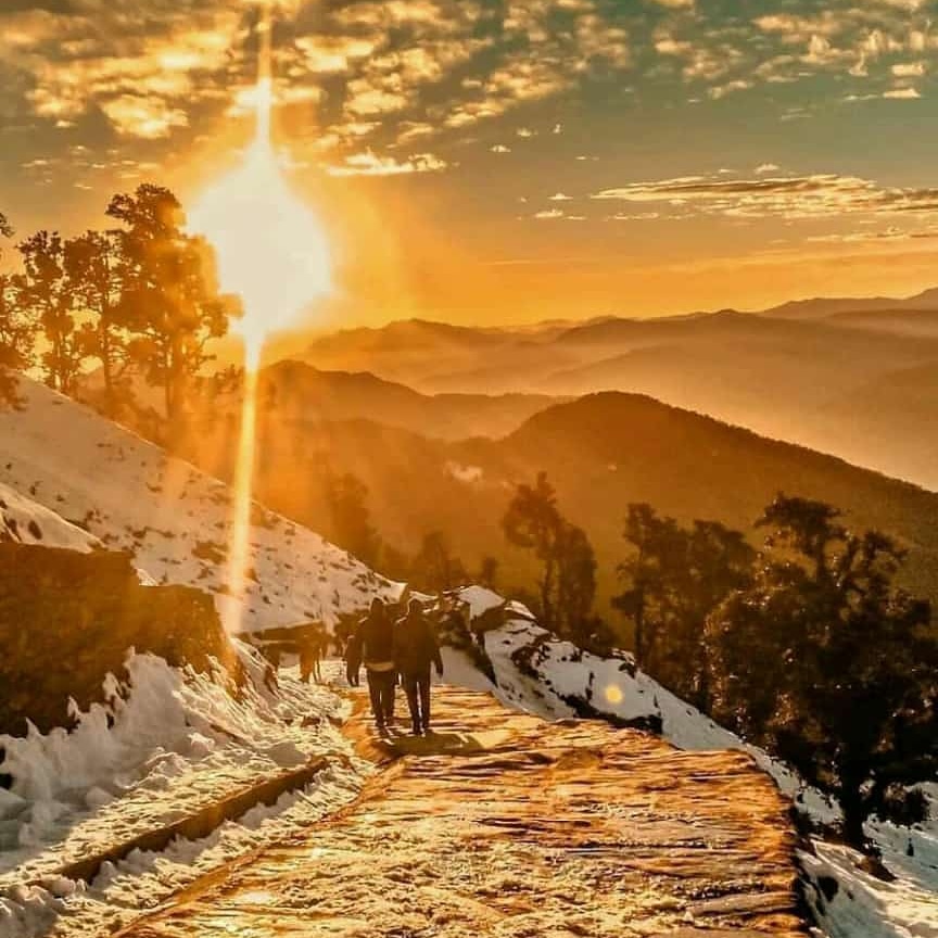 ganga_valley's tweet photo. Sunrise @ Chopta #chopta #tungnath #trek #trekking #hike #hiking #adventure #nature #sun #sunrise #morning #mountains #himalaya #landscaping #uttarakhnad #india #tourism #lonelyplanet #traveler #bagpacker #weekendtrek #tourism #snow #snowtrek for query WhatsApp +919761162608 https://t.co/WwMawQawCr