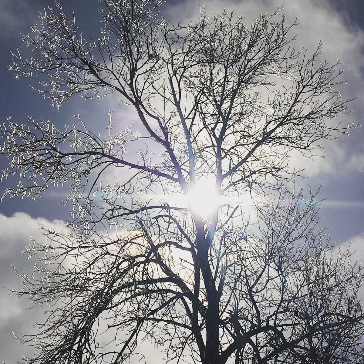 JennySvetec's tweet photo. There is no one like the God of Jeshurun, Who rides the heavens to help you, And in His excellency on the clouds. The eternalGod is your refuge. Deut. 33:26-27 #Godismyexceedinglygreatreward Day1 #365daysoffinding #2020joy https://t.co/tSaZ7kvwoC