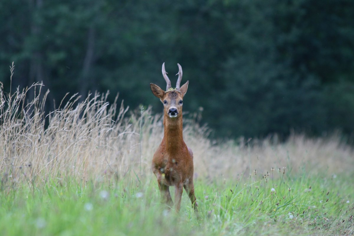 pascal_zannis's tweet image. Vigilance et curiosité pour 2020...