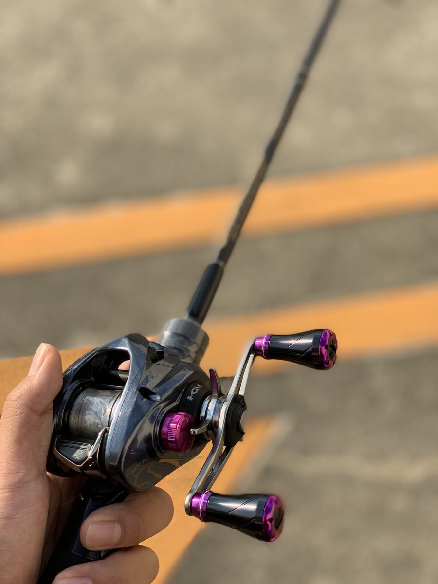 店内全品ポイント2倍!! 専用 deps デプス バグレイダー バーディック