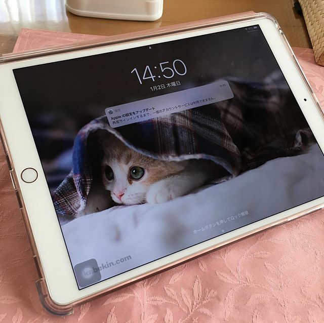 Taka_Sim's tweet image. 娘夫婦が、クリスマスに賢者の贈り物よろしく同じiPad Airを交換したそうで、帰省の際見せに持ってきました。うちも、クックパッド見たり、譜面表示させるのにPro買おうかと迷ってたんですが、これで十分かなと思うようになってきました。
#ipad #ipadaircase ift.tt/2SIMG63