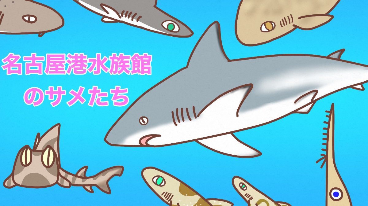 けいこっとん ゆるサメイラスト 年末に行った名古屋港水族館の動画をアップしました 相変わらず サメ ばかり眺めています 今回は とある2種のサメが多め サメは いいなぁと 年末に改めて実感しました よろしければご覧ください けいこっとん ゆるサメイラスト 年末に行った名古屋港水族館の動画をアップしました 相変わらず サメ ばかり眺めています 今回は とある2種のサメが多め サメは いいなぁと 年末に改めて実感しました よろしければご覧ください