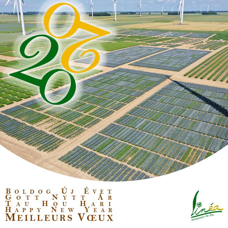 Très bonne année linière à tous les passionnés de notre belle plante.