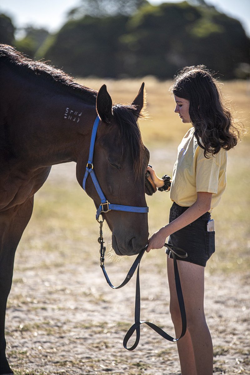 Brennanracing's tweet photo. The kids and their horses 🥰 #Marcotti #RocknrollRalph https://t.co/BpDKcKBR2b